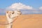 Camel muzzle against the background of the desert and the cloudy sky