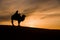 Camel with owner with sunset in Gobi Desert