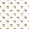 Camel pattern, cartoon style