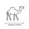 Camel pixel perfect linear icon