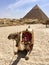 Camel and Pyramids . Egypt