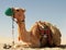Camel in Qatar Desert