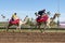 Camel Racing in Phoenix, Arizona