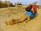 Camel resting during camel safari, Thar desert, India