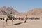 Camel ride in desert. Tourist in shemagh and sunglasses riding camel, led by Bedouin, over background of quads and