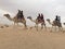 Camel Ride Desert UAE