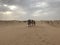 Camel Ride Desert UAE