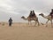 Camel Ride Desert UAE