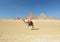 Camel ride by Giza pyramids