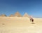 Camel ride by Giza pyramids
