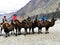 Camel ride , Hunder leh , Incredicle  india