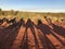 Camel ride silhoutte in the Central Australian desert