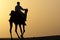 Camel rider silhouette