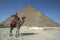 A camel and rider sit in front of The Pyramid of Khufu at Giza in Cairo in Egypt.