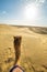 Camel rider view in Thar desert, Rajasthan