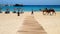 Camel rides in Caleta de Fuste, Fuerteventura, Spain