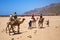 Camel riding excursion, Egypt
