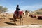 Camel Riding at Negev Camel Ranch