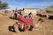 Camel Riding at Negev Camel Ranch