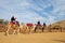 Camel Riding at Negev Camel Ranch
