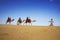 Camel riding, Thar Desert, India