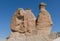 Camel rock at Devrent Imagination Valley, Cappadocia