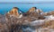 Camel rocks on the bank of the Tiligul estuary in winter