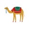 Camel with Saddle on the Back, Desert Animal, Symbol of Traditional Egyptian Culture Vector Illustration