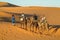 Camel safari caravan in Sahara