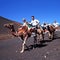 Camel Safari, Lanzarote.