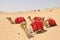 Camel safari, sitting camels in Dubai