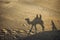 Camel shadow in sand