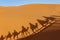 Camel shadow on sand in desert