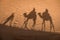 Camel shadows on Sahara Desert sand in Morocco.