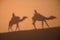 Camel shadows on Sahara Desert sand in Morocco.