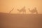 Camel shadows on Sahara sand.