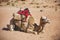 Camel side view. Desert animal