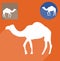 Camel silhouette