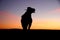 Camel silhouette at sunrise in the sahara