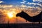 Camel in silhouette at the Thar desert Jaisalmer Rajasthan at sunset with moody sky