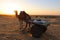 Camel silhouette in the Thar desert at sunset