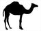 Camel silhouette vector art white background