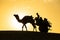 Camel silhouette with the wagon in dunes of Thar desert