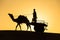 Camel silhouette with the wagon in Thar desert