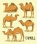 Camel Silhouettes set