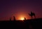 Camel and silhouettes sunset at Jaisalmer thar desert India