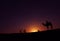 Camel and silhouettes sunset at Jaisalmer thar desert India