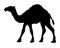 Camel simple graphic icon. Black arabic sign isolated on white background. Camel symbol of desert. Vector illustration