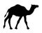 Camel simple graphic icon. Black arabic sign isolated on white background. Camel symbol of desert. Vector illustration