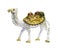 Camel statue and treasure isolated